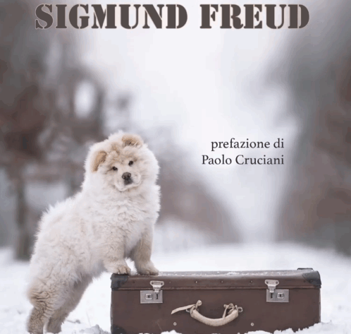 nella valigia di sigmund freud